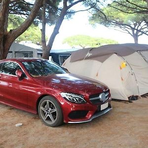 Camping Vall D'Or